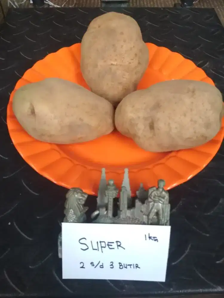 Kentang dieng eceran