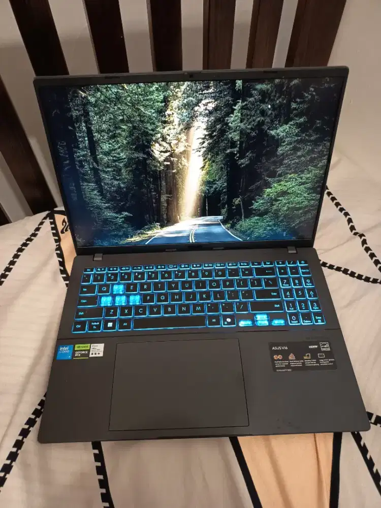 Asus Gaming V16 V360VU - Geforce RTX 4050 Core 5 210H 16 GB 512 SSD