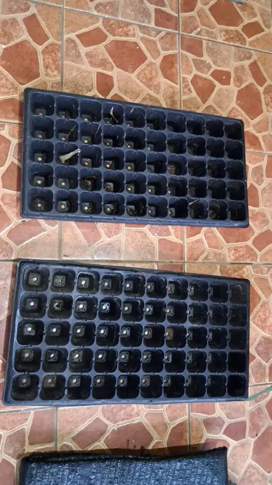 Tray pembibitan tanaman 4 buah, @50 pot
