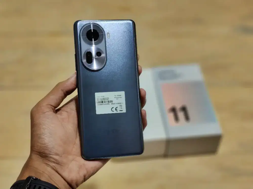oppo reno 11 5g 8/256 bisa tt