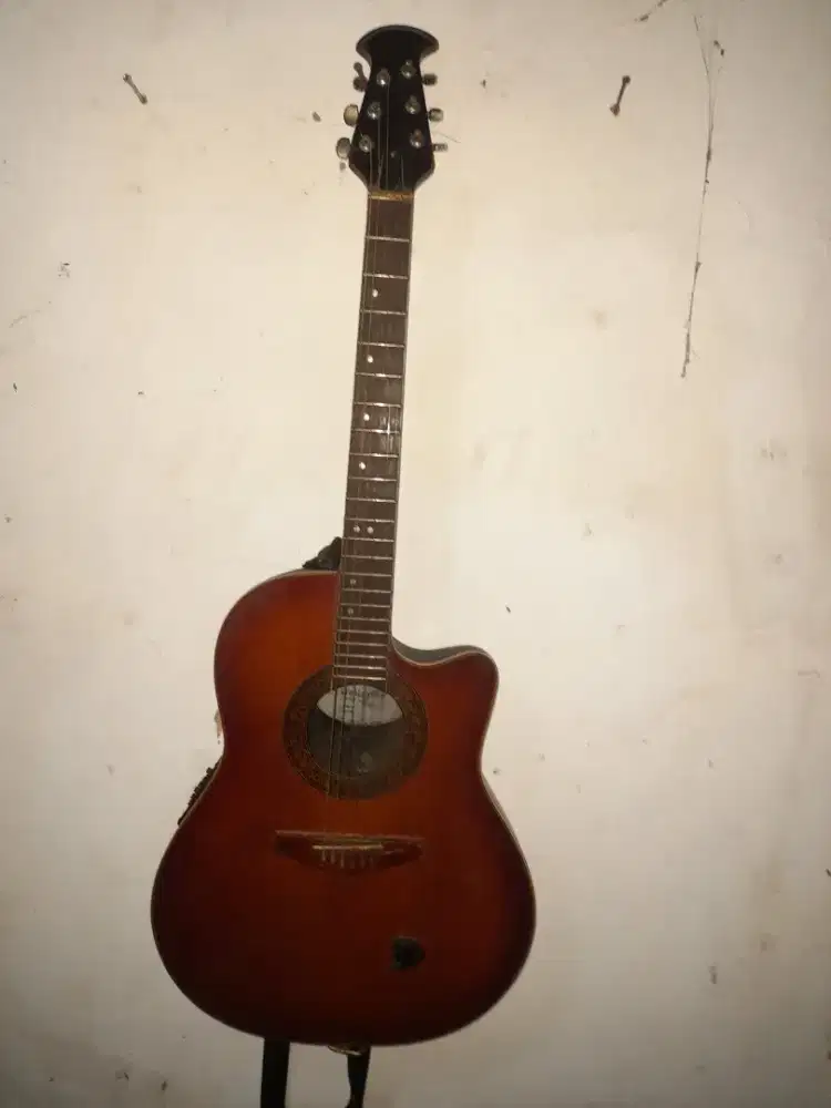Welldone accoustic electric semi vintages guitar