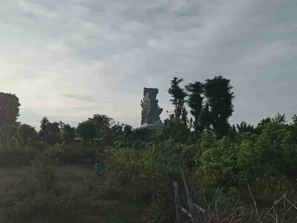 dijual tanah 15 are IDR 425 juta/are view Gwk ungasan Badung Bali