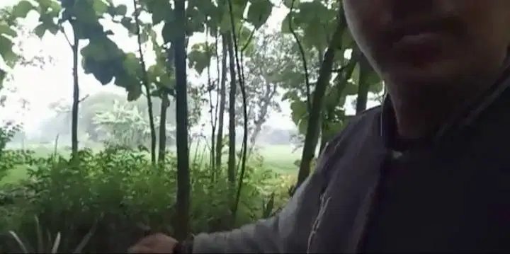 Tanah Kebun Jati Riverview