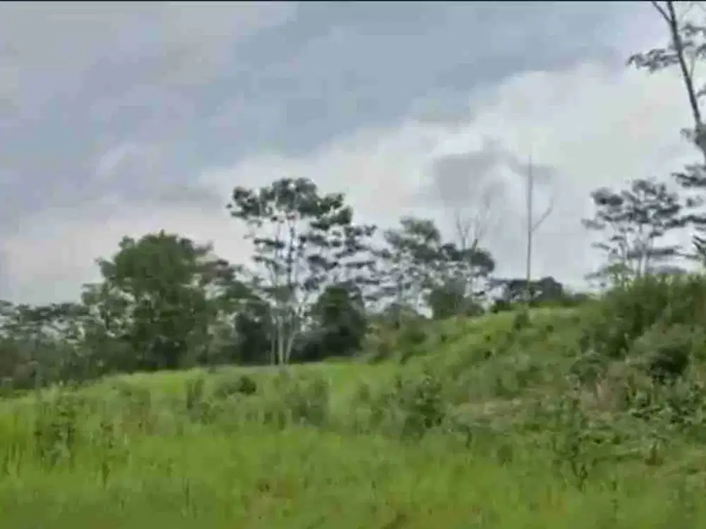 DIJUAL TANAH 3,2 Ha di SUBANG
Tanah datar
Siap diolah utk usaha pertanaman dan pariwisata ie strowberry dll