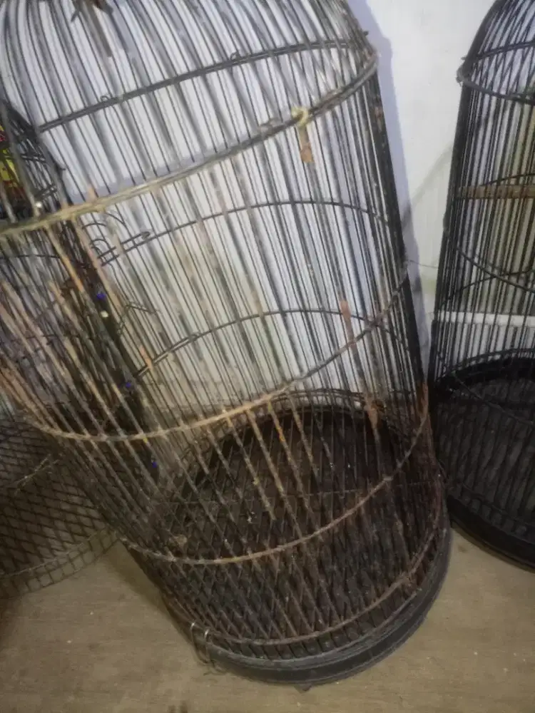 Kandang love bird, kandang kapsul, kandang kenari dll