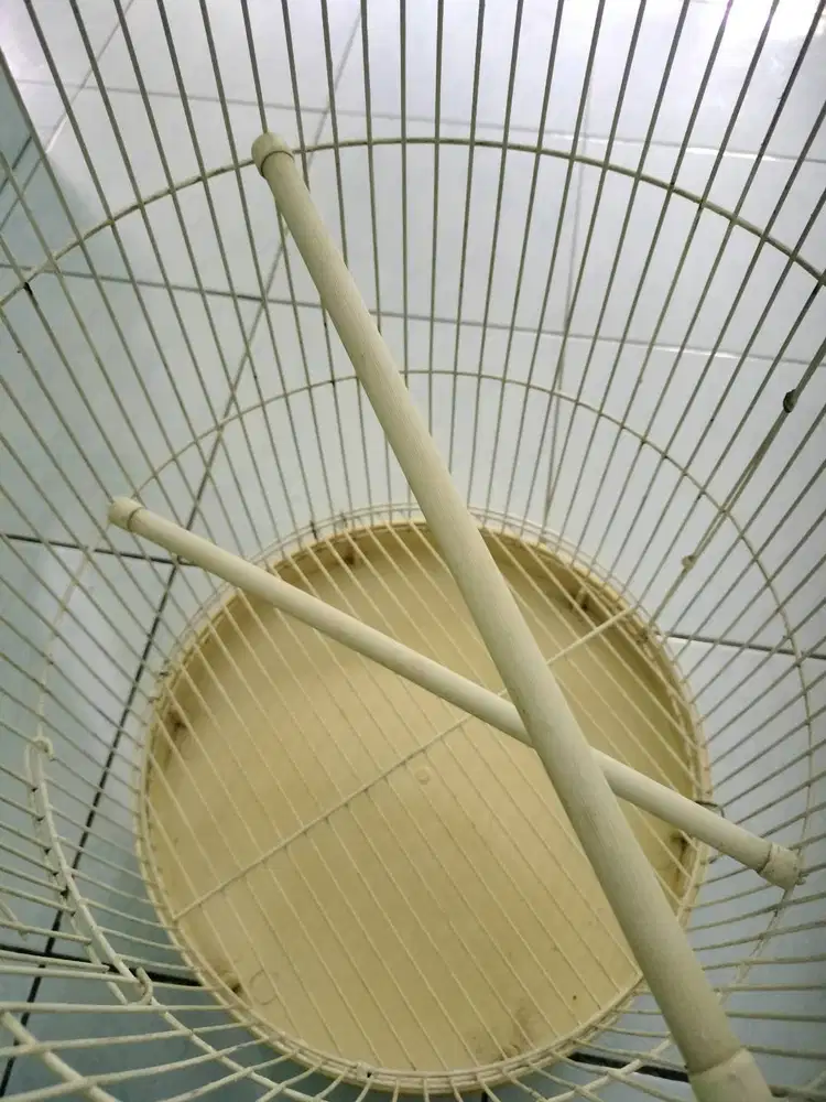 Kandang burung kapsul