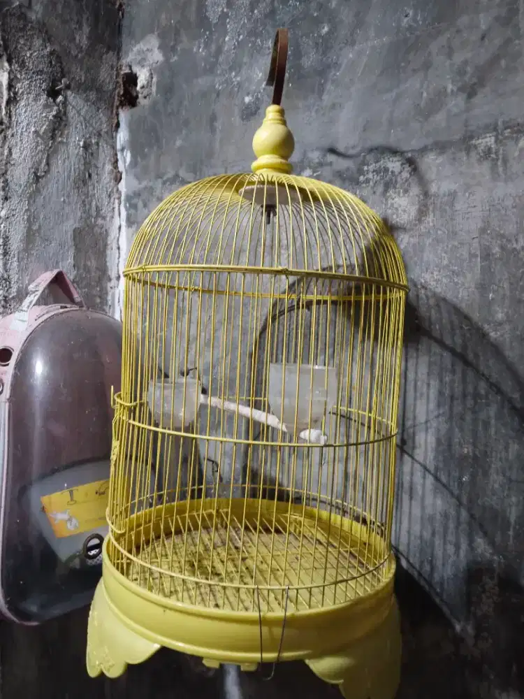 Kandang burung bekas