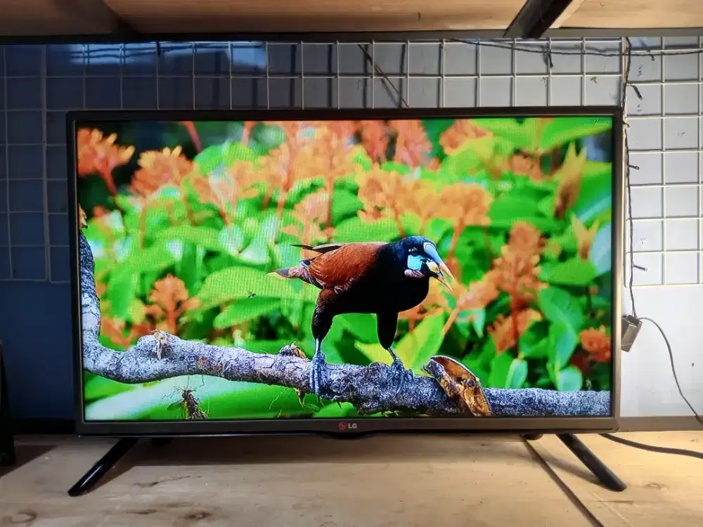 Tv LED analog LG 32 inc second murah siap pakai