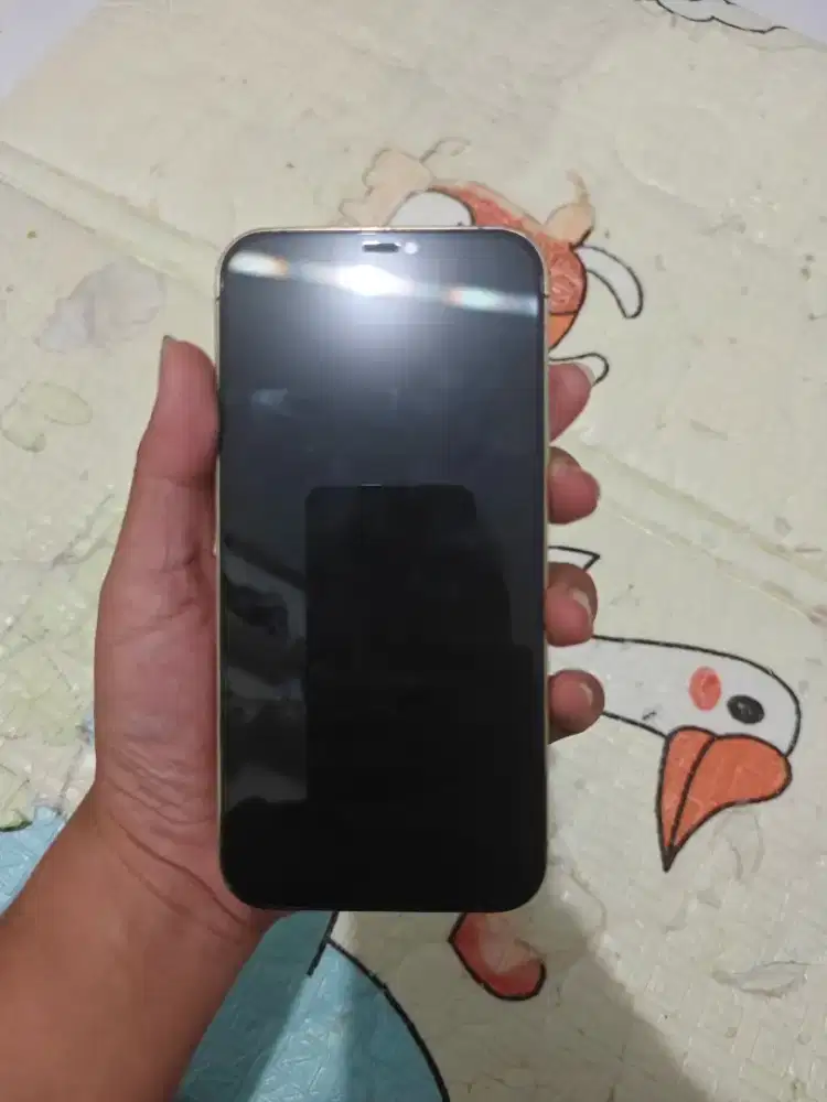 IPHONE 12 PROMAX GOLD 128GB EX GARANSI INDO