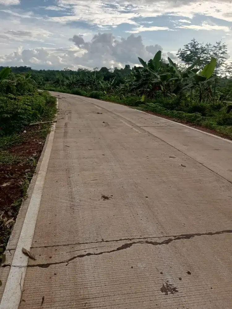 Jual Tanah untuk perumahan, perkebunan, peternakan, industri