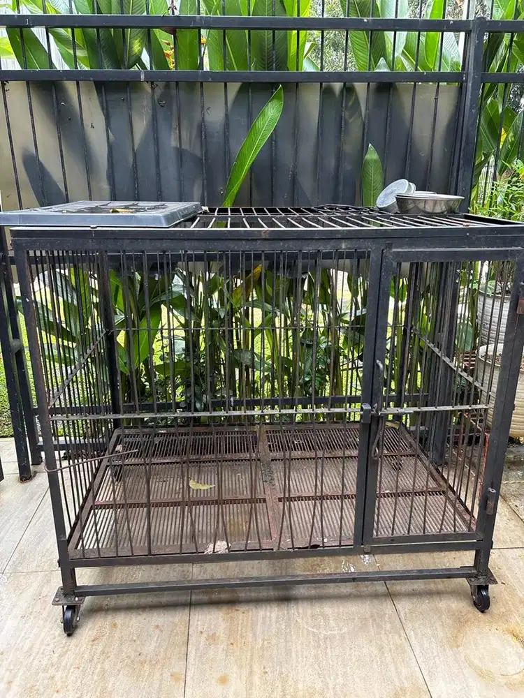 Kandang anjing besi