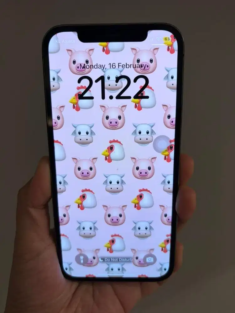 Iphone 12 Pro 128 gb Ex. Inter All Operator