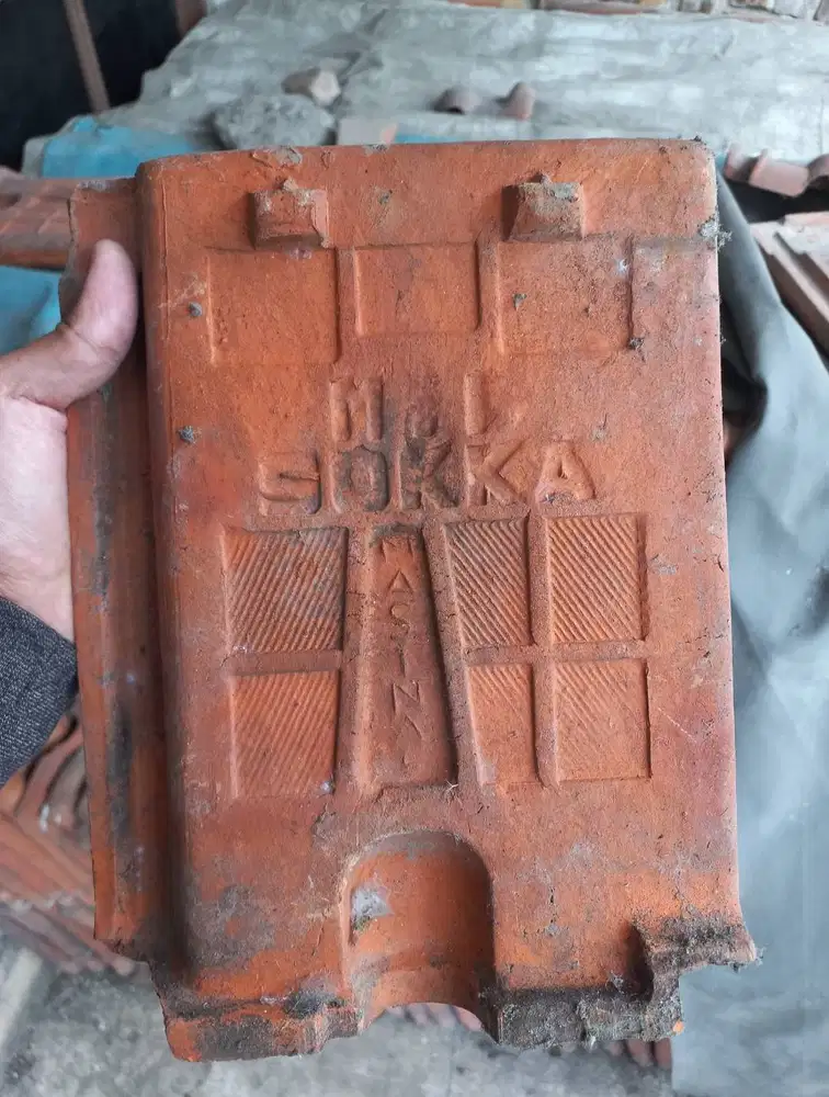 Cuci Gudang! Genteng Kodok Bekas Bongkaran Rumah