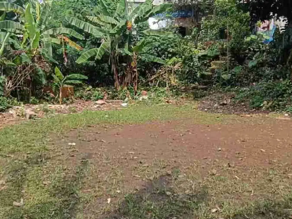 Termurah, Dijual Tanah bisa utk Cluster, Kostsan, Investasi di Jagakarsa Jakarta Selatan