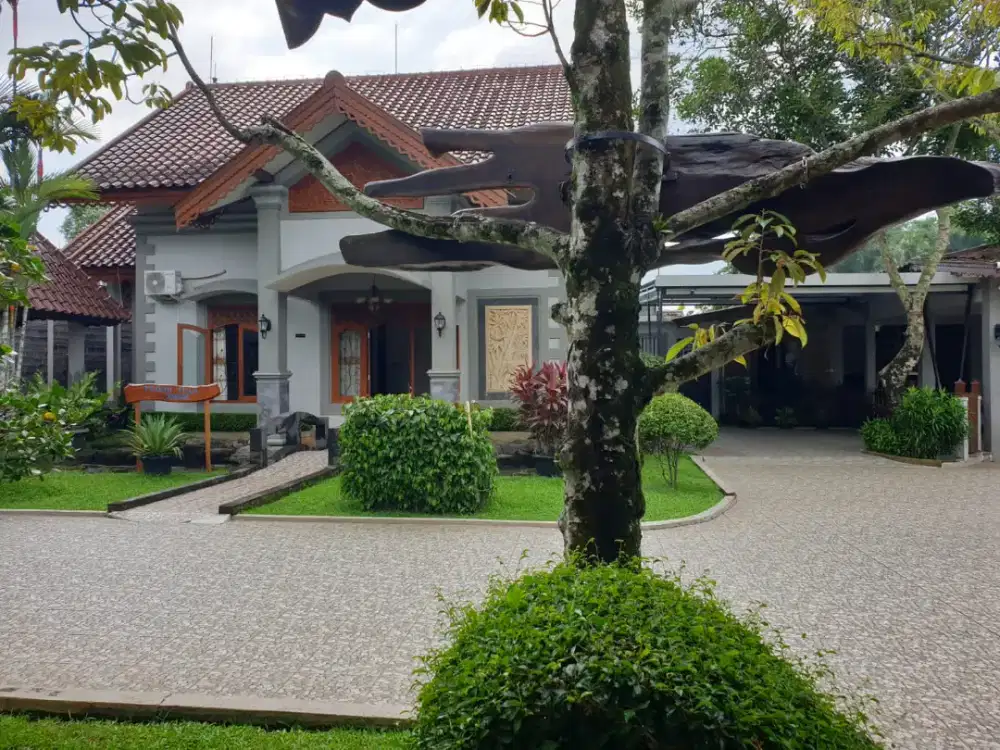 Jual / Disewakan Rumah di Pakem Sleman