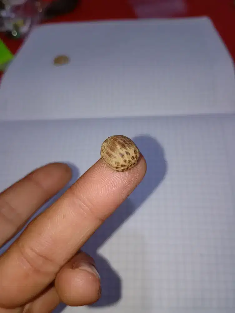 Batuan koleksi lainnya