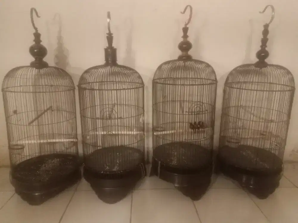 Sangkar lovebird kotak dan bulat