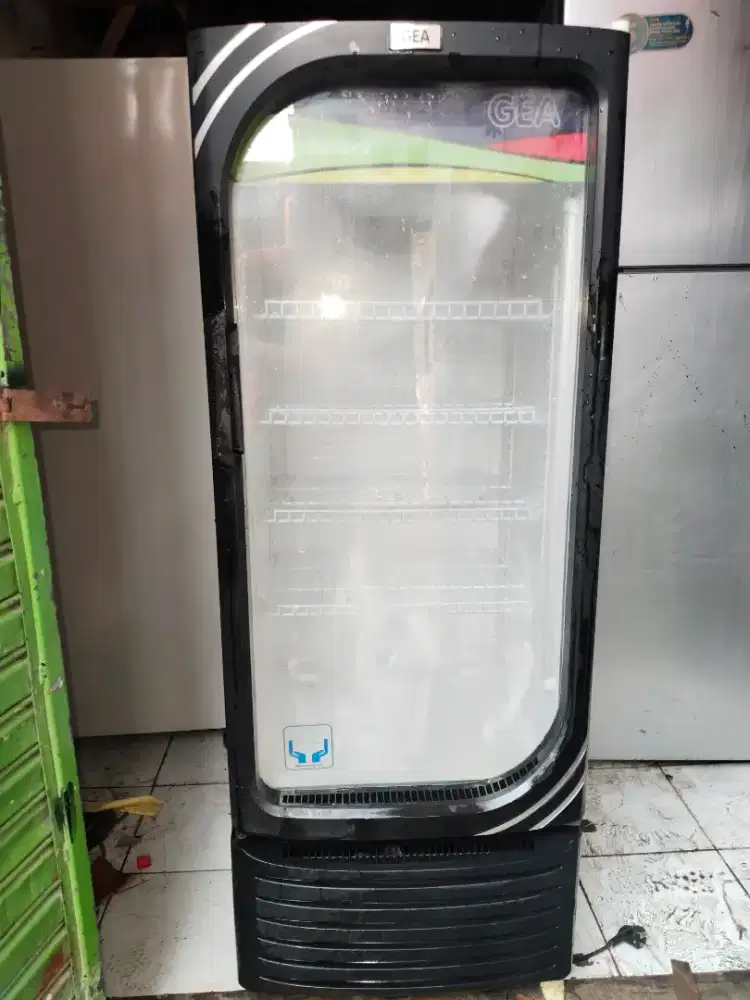 Showcase gea oval bagus normal dingin