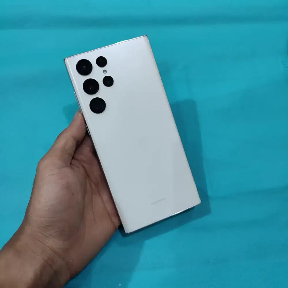 Samsung S22 Ultra 12/256Gb Mulus