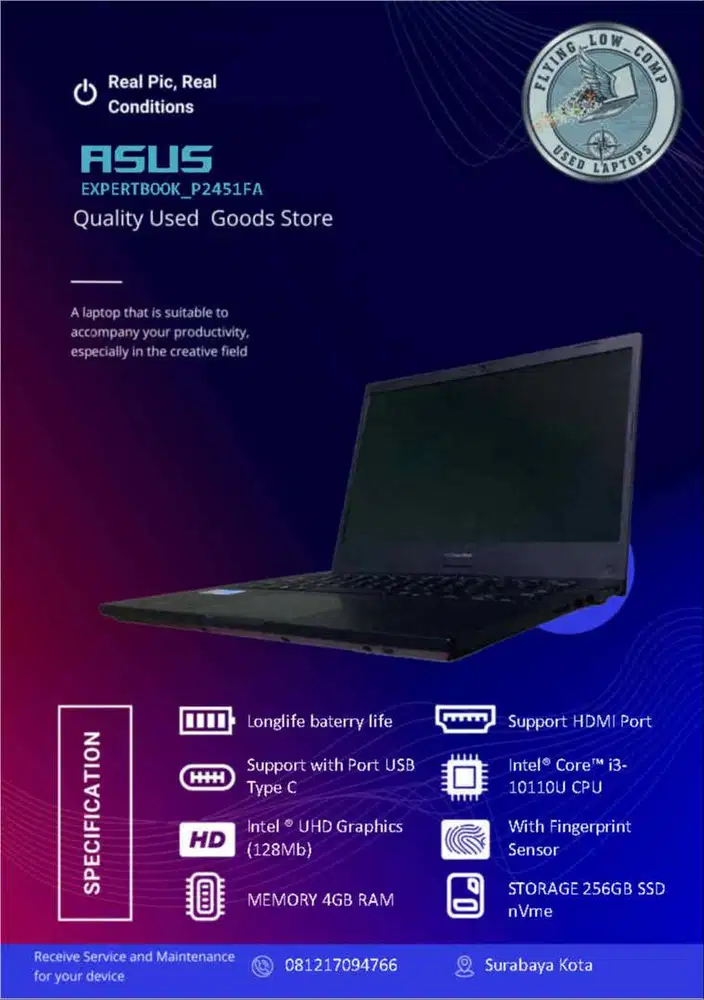 Asus VivoBook ExpertBook P2451FA