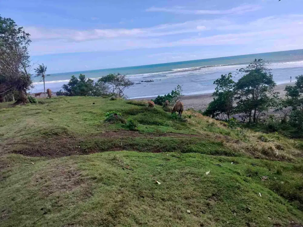 jual tanah los pantai kelating 2hektar 70 are harga600jt/ are.