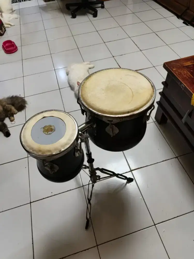 Di jual murah Ketipung