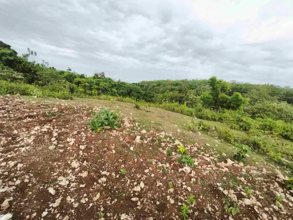 dijual tanah 400m² IDR 650 jutaper are dekat rektorat kampus unud jimbaran