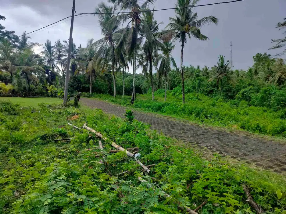 jual tanah dekat jalan propensi. 40 are harga130/ are