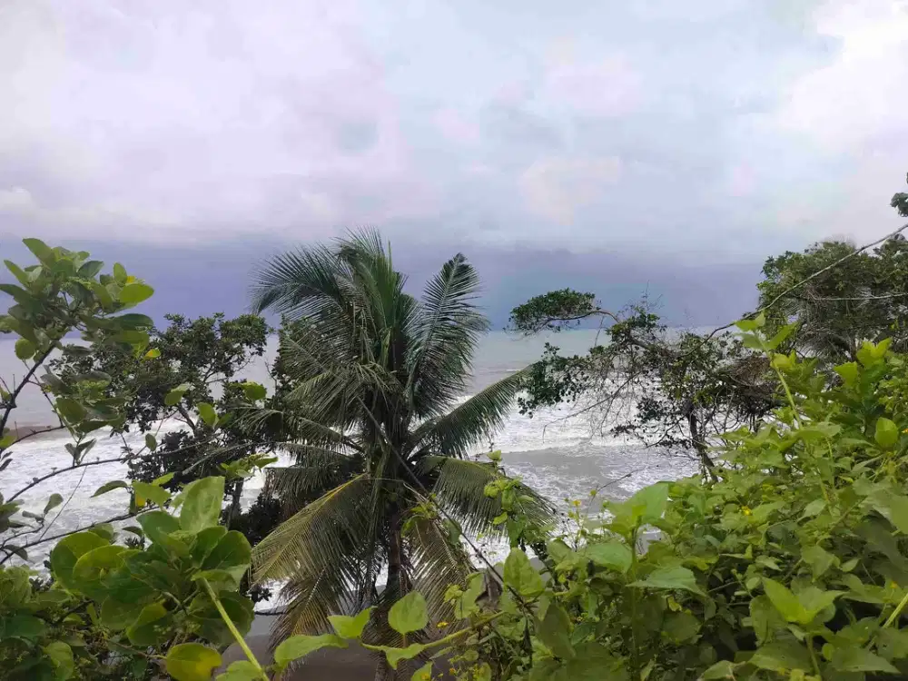 di sewakan lahan los pantai beach frount di desa antap selemadeg barat tabanan bali.