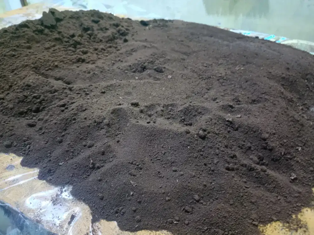 Ampas Kopi Alami Kiloan