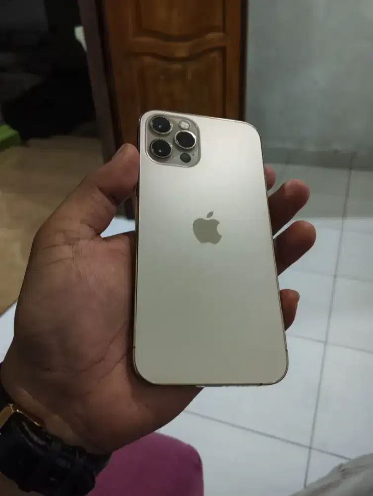 iPhone 12 PRO Inter 128GB