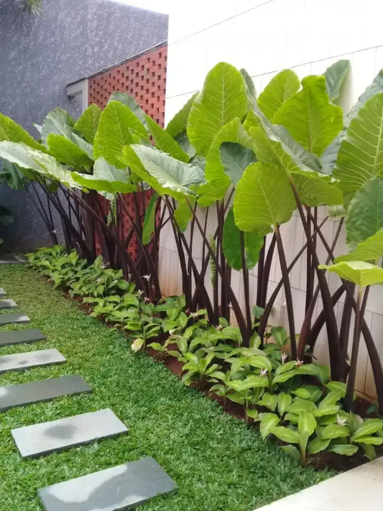 JASA TUKANG TAMAN BAGUS