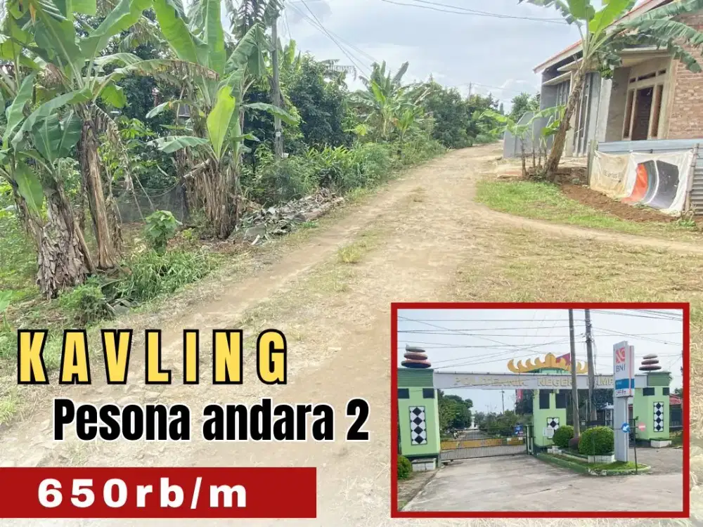 kapling andara 2 desa sidosari natar