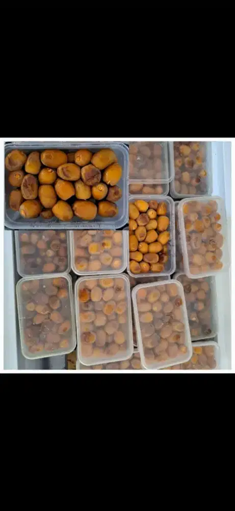 Kurma Basah Ruthob Rotana Asli Madinah Korma Baru Fresh 2026 Ori Saudi