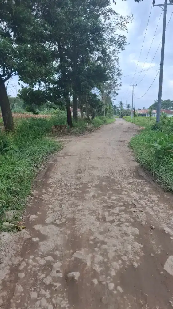 Dijual cepat tanah pribadi