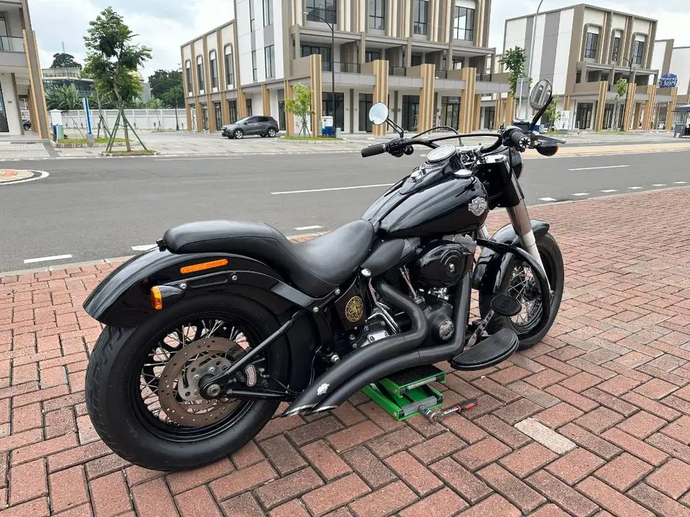 SOFTAIL SLIM 2014 FULL PAPER