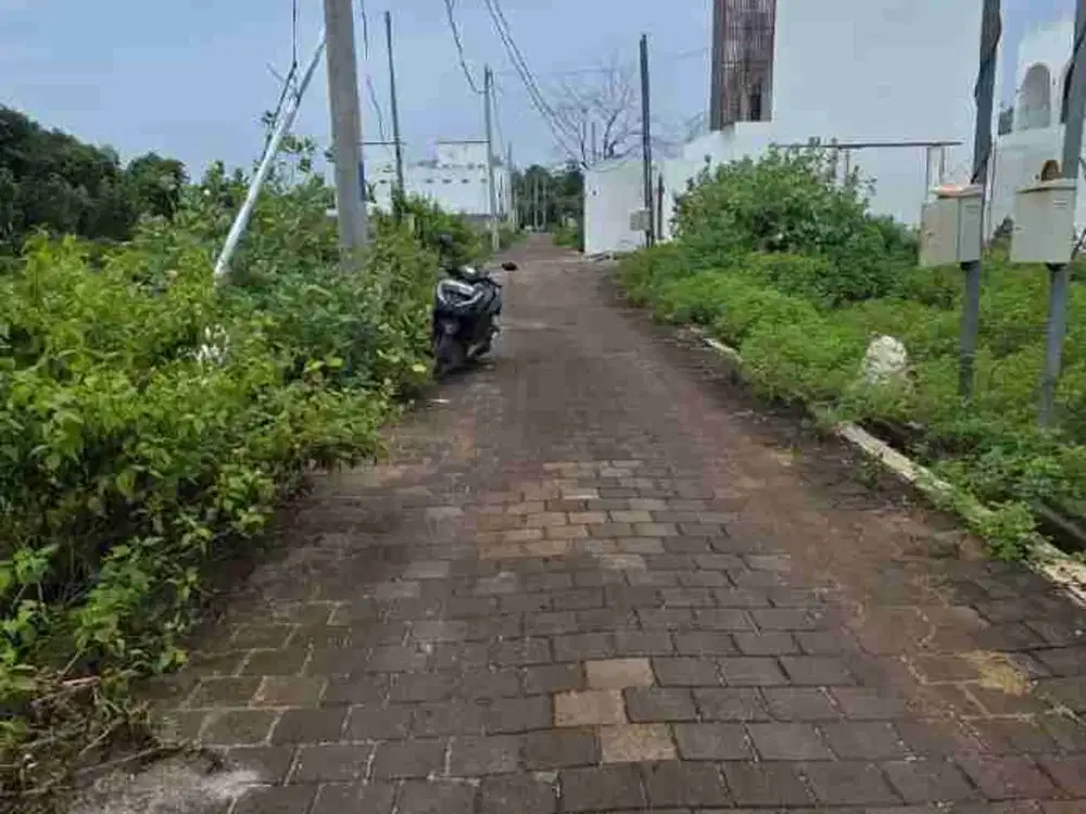 Jual Harga Global Luas tanah 1.83are /183m² Lokasi Jl  Tulip Ungasan Zona Kuning area Investasi