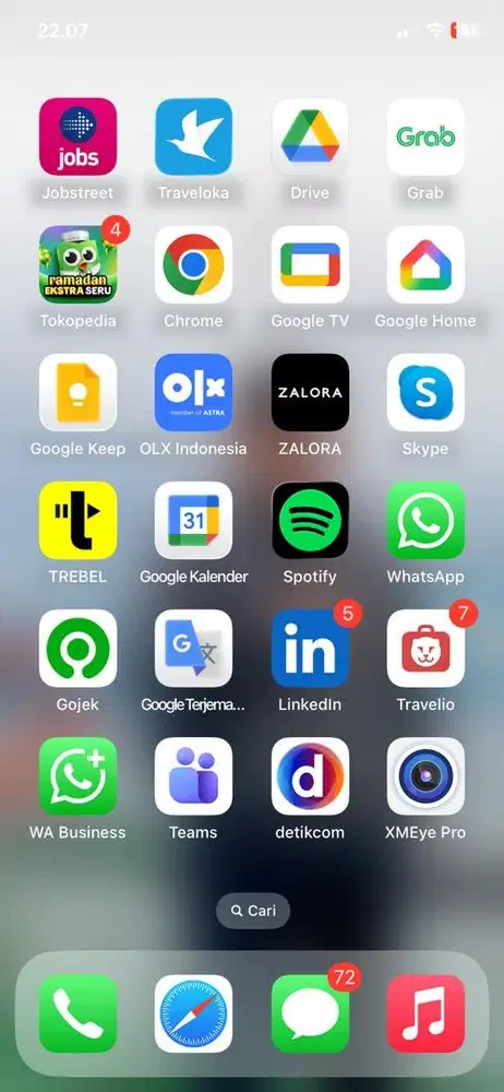 Iphone 11 hijau 256GB