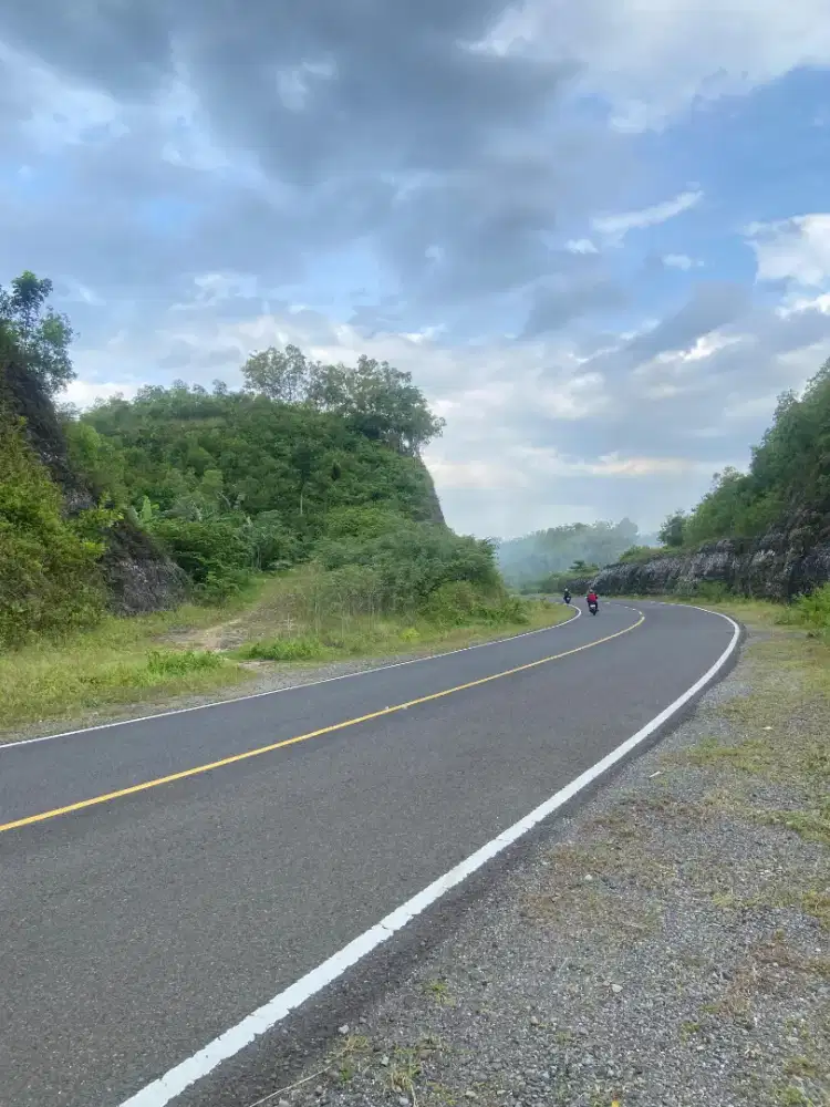 Jual tanah murah lokasi gunung kidul DIY luas 8000m hrg 170jt nego