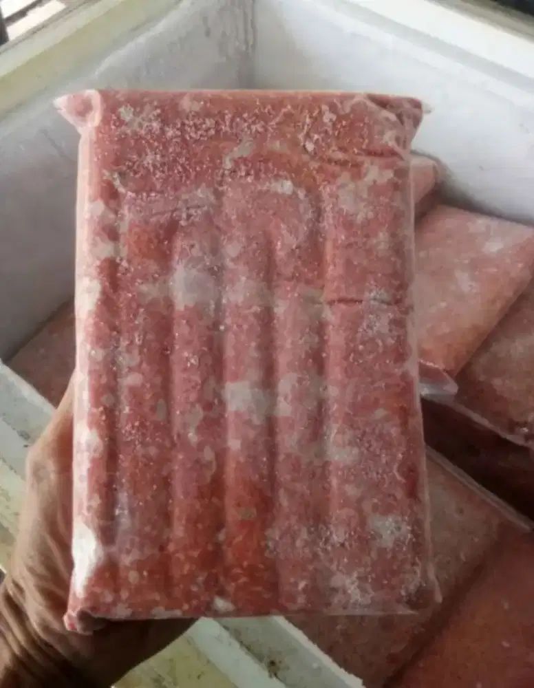 Makanan Hewan (Dogfood Beef)