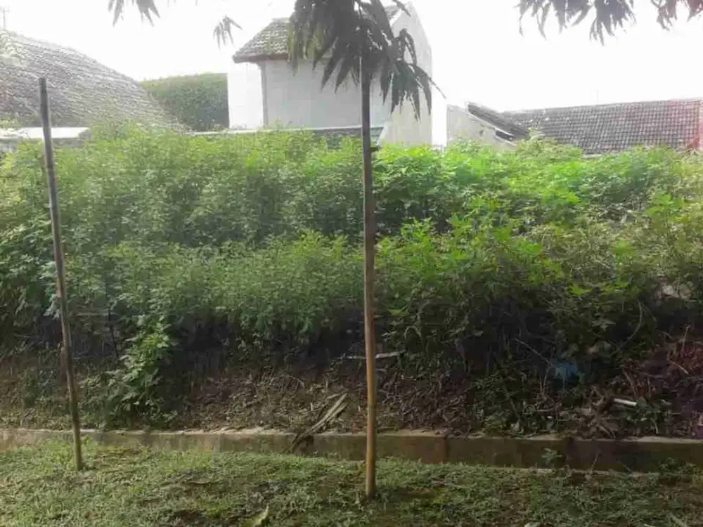 Dijual tanah pinggir jalan bagus untuk Investasi lokasi di daerah Ngalian, Semarang