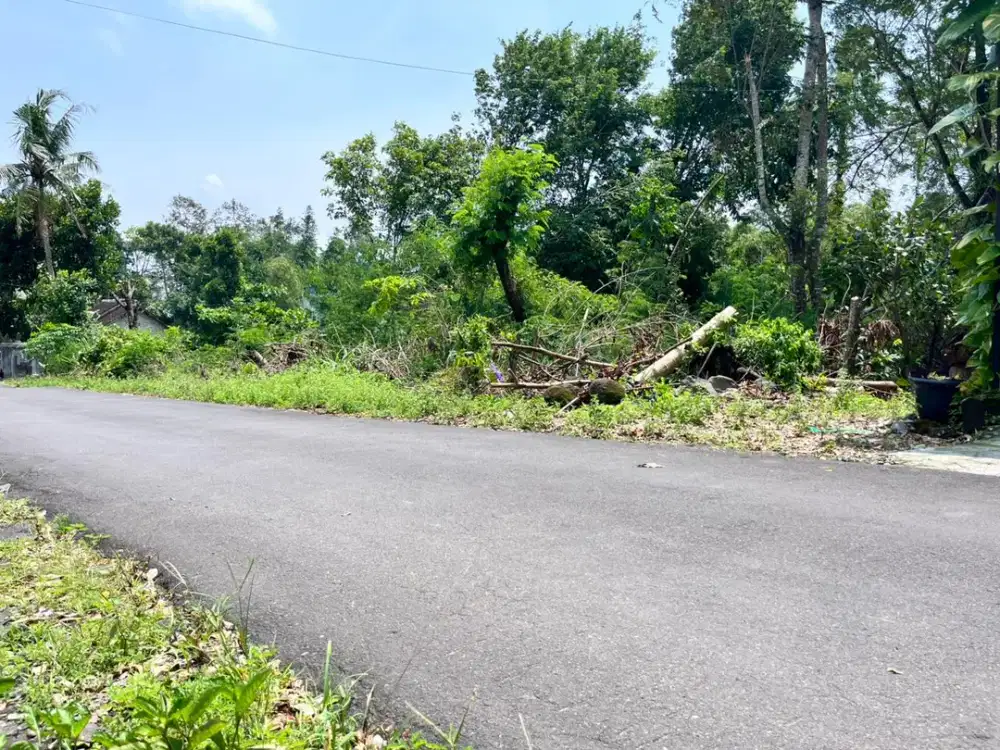 Tanah Selomartani SHM Strategis Pinggir Jalan Aspal