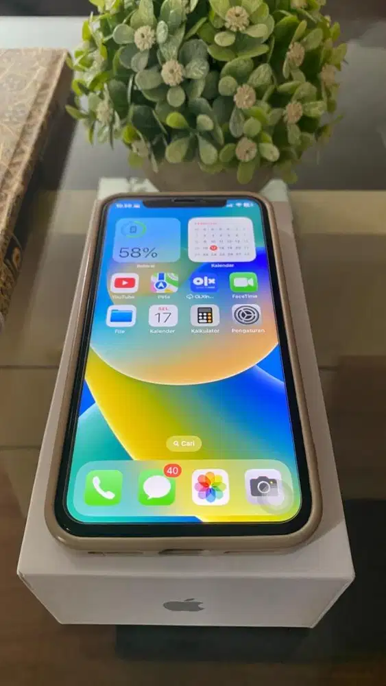 Iphone XS Inter 256 GB