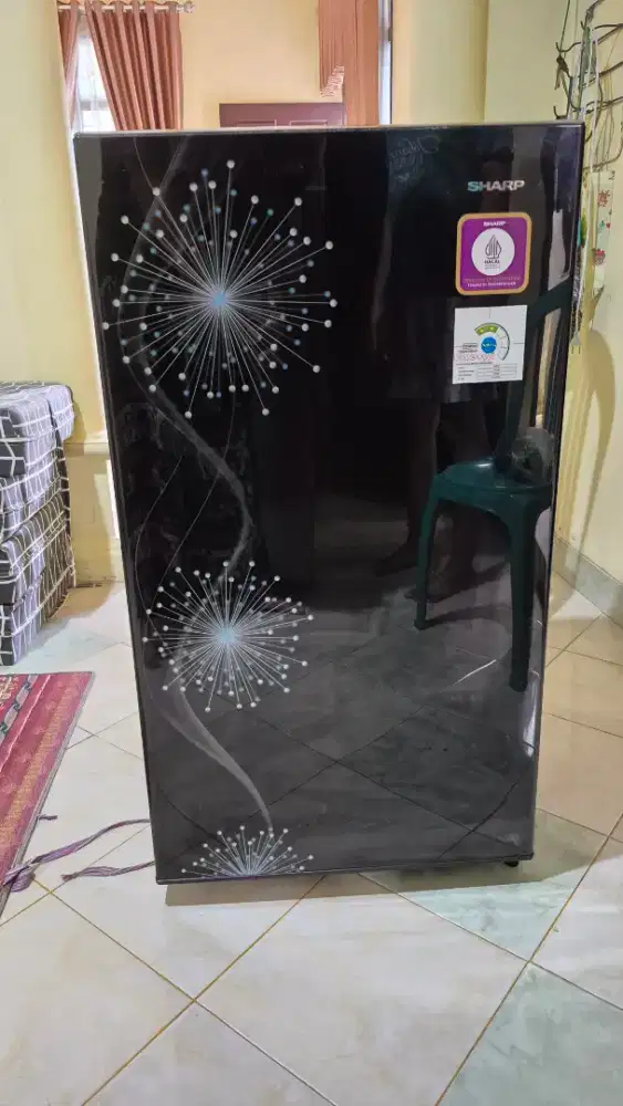 KULKAS SHARP 1 PINTU SERI SJ-X167MG