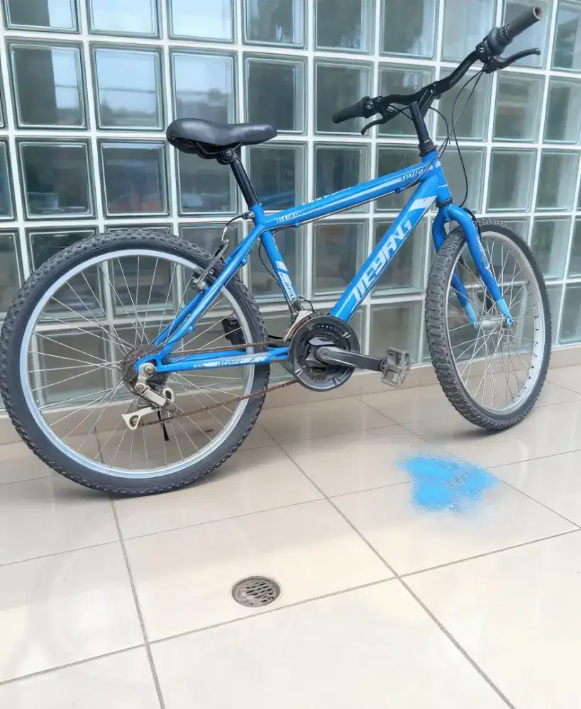 Sepeda gunung ukuran 24