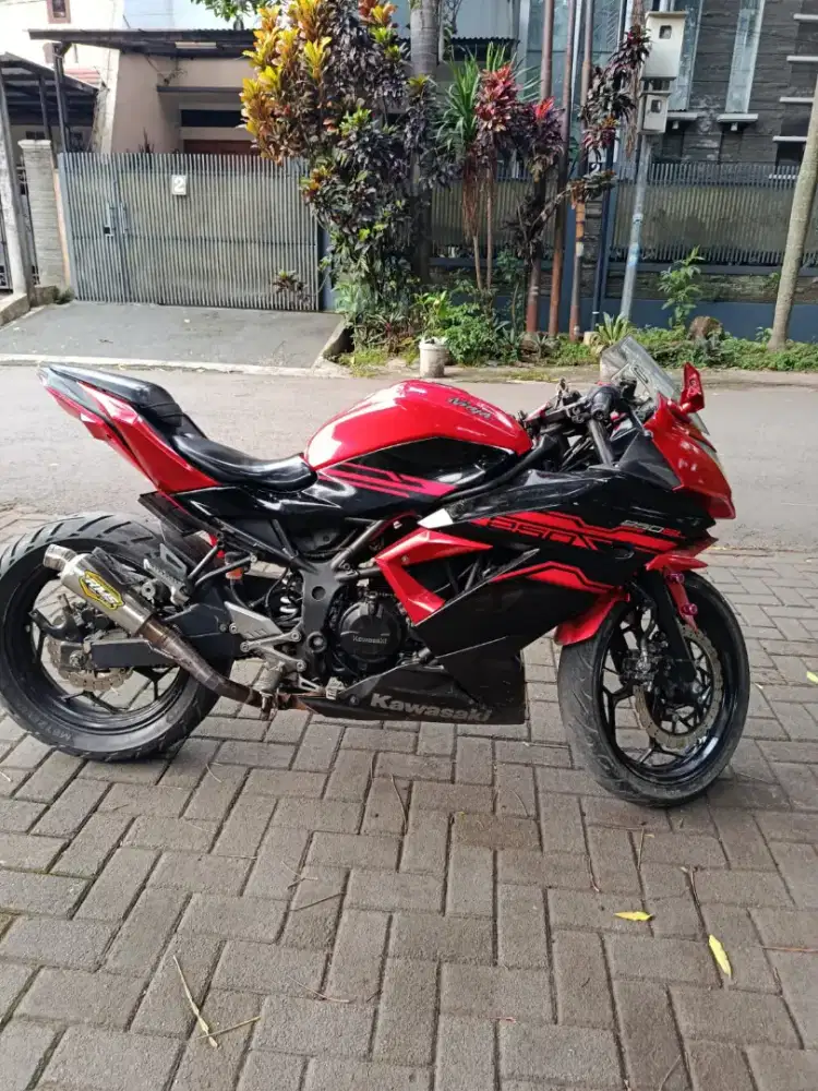 Kawasaki Ninja SL MONO
