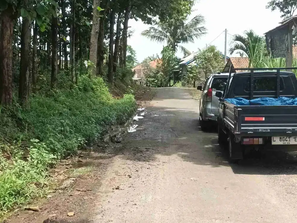 Di jual tanah kering jombang wonosalam