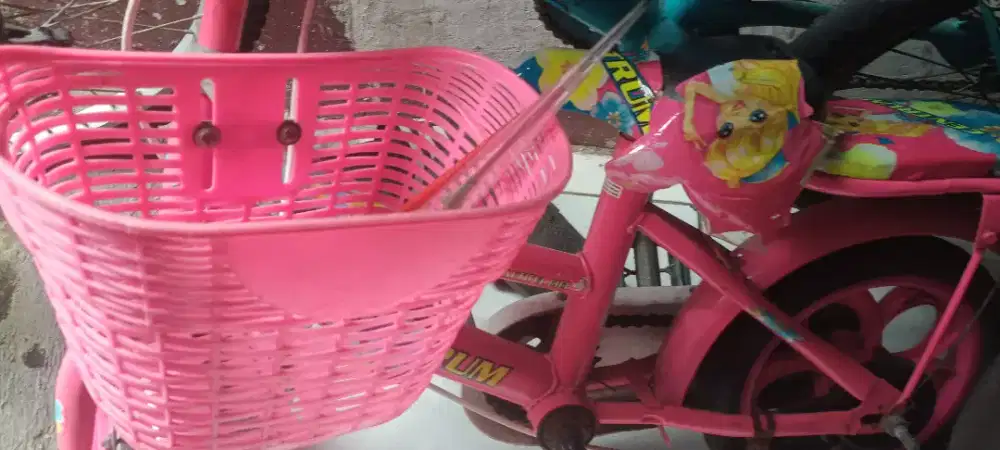 Jual cepat sepeda bekas