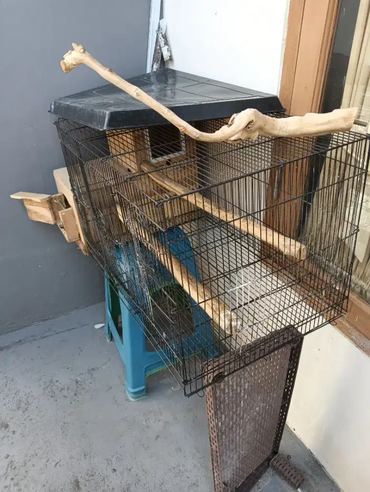 Jual kandang small parrot falk, sun conure