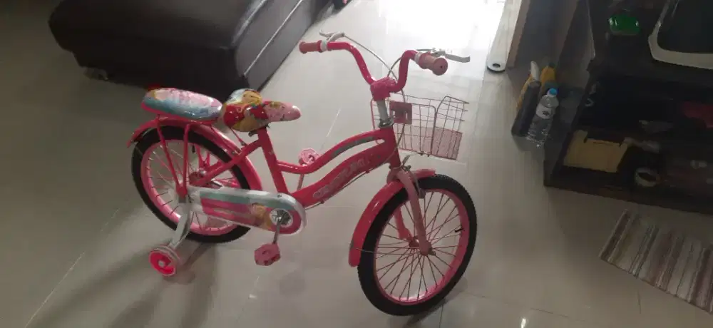 Sepeda anak centrum 18